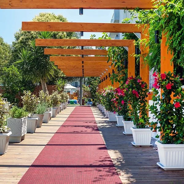 Sunny Days (Ixia) - zdjęcie 4