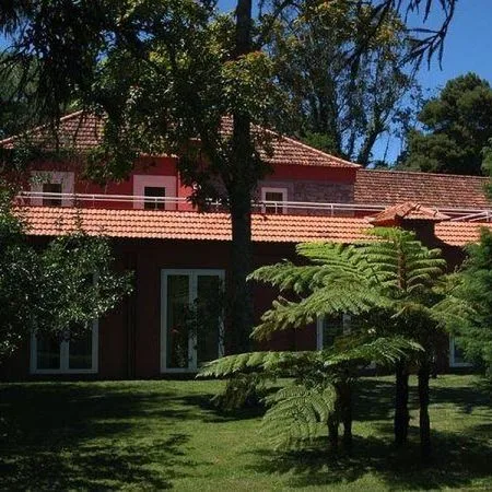 Enotel Golf - Santo da Serra - zdjęcie 2