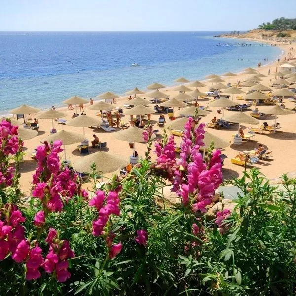 Domina Coral Bay Harem - zdjęcie 4