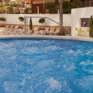 Rh Princesa - zdjęcie 5