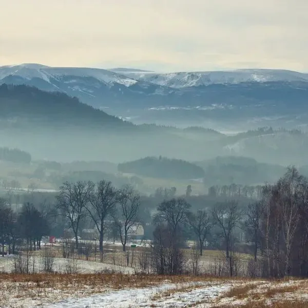 Dom Góry Las - zdjęcie 2