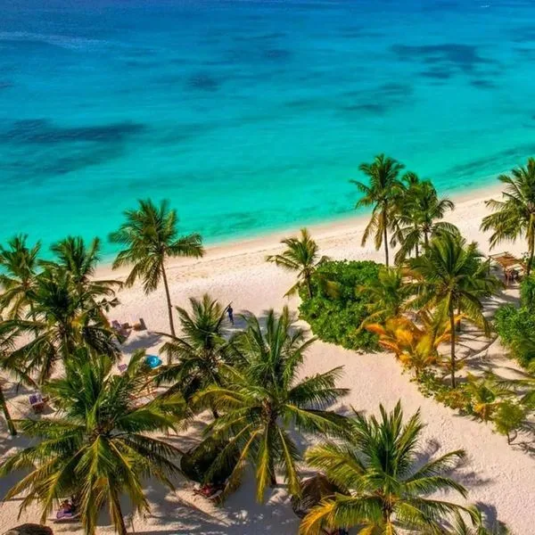 Zuri Zanzibar - zdjęcie 2