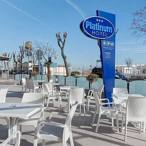 Platinum - zdjęcie 4