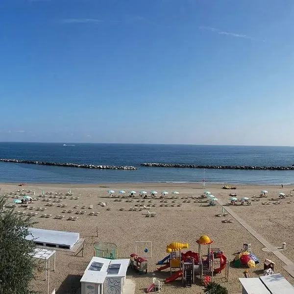 Platinum - zdjęcie 5