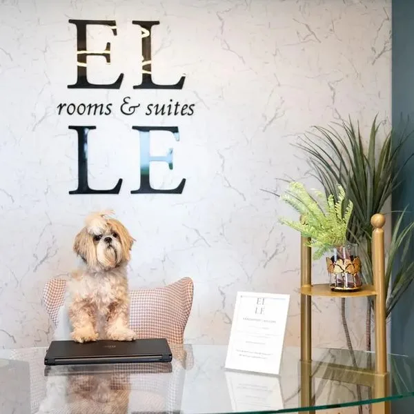 ELLE Rooms & Suites - zdjęcie 4