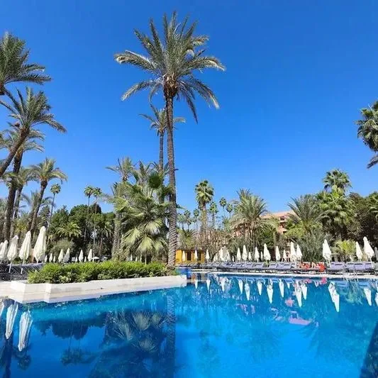 Kenzi Farah - zdjęcie 2