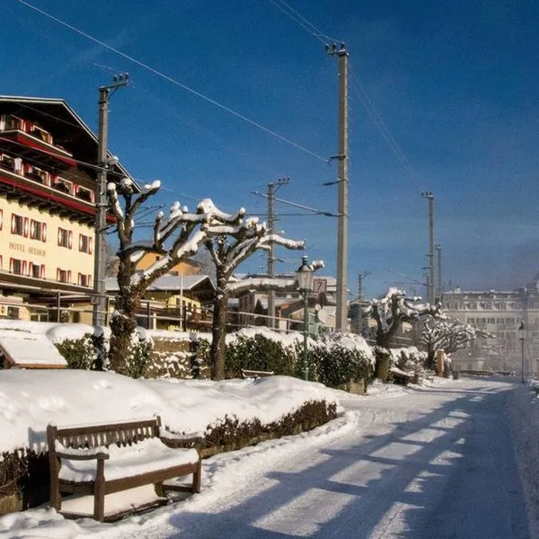 Seehof (Zell am See) - zdjęcie 5