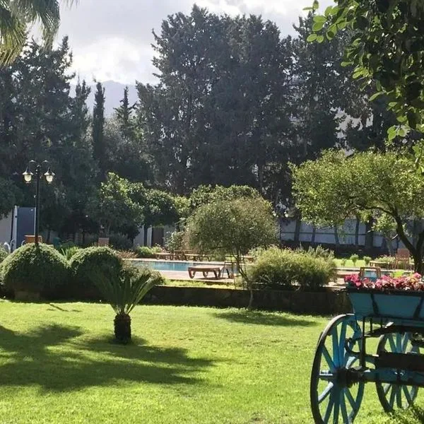 Pia Bella - zdjęcie 4