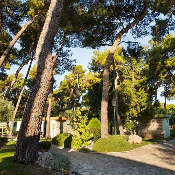 San Antonio (Biograd na Moru) - zdjęcie 5