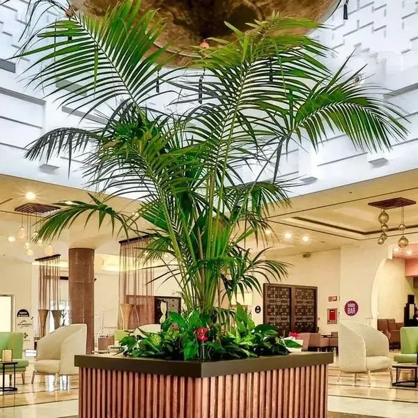 Be Live Collection Saidia - zdjęcie 4