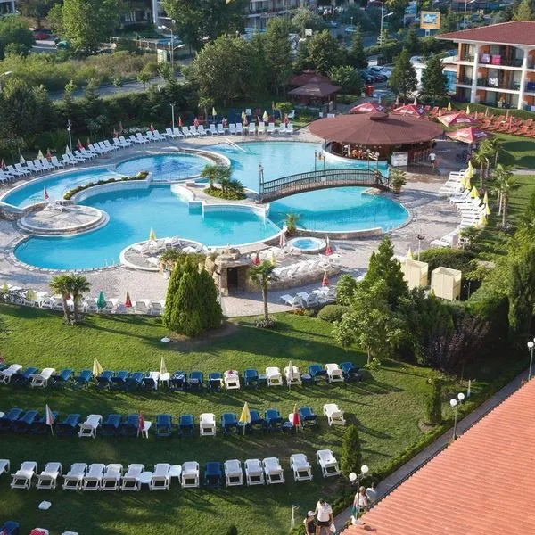 Hrizantema - zdjęcie 3