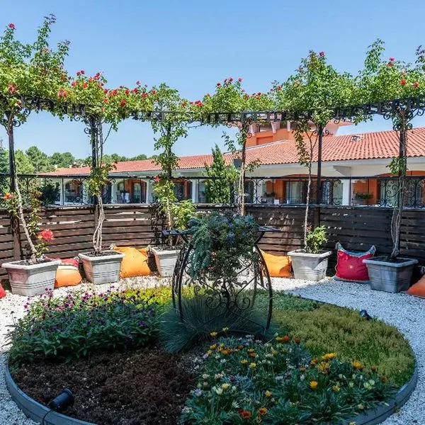 Hrizantema - zdjęcie 4