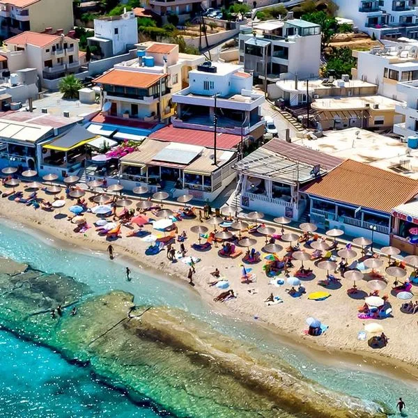 Alexander House - zdjęcie 3