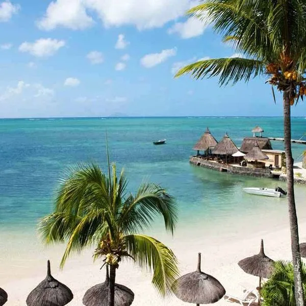 Veranda Paul Et Virginie - zdjęcie 4