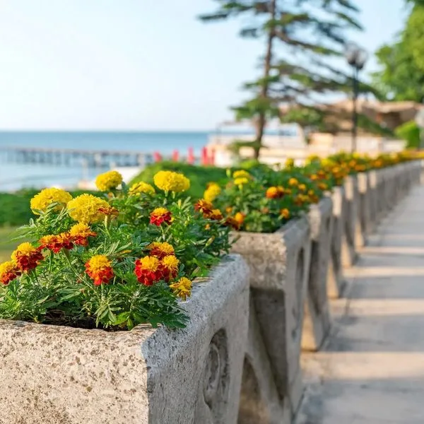 Palace Sunny Day - zdjęcie 4