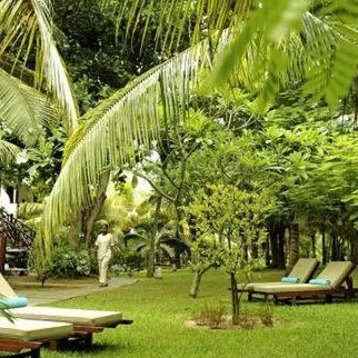 Coin de Mire Attitude - zdjęcie 2