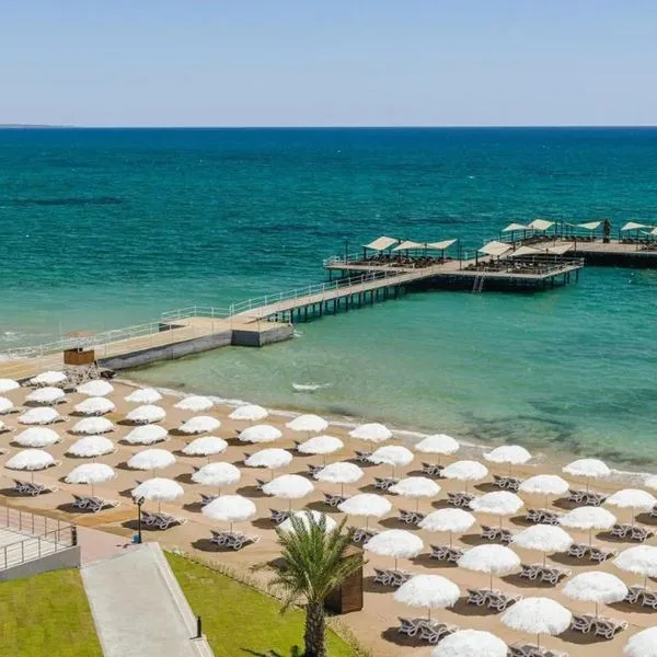 The Arkin Iskele - zdjęcie 3