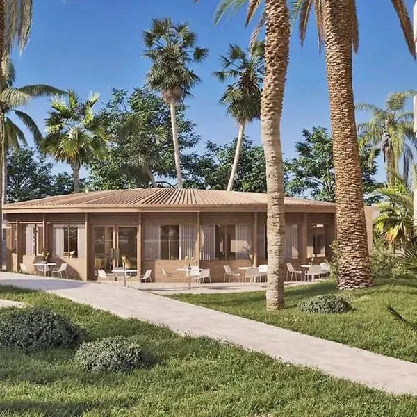 Ixia Dream - zdjęcie 2