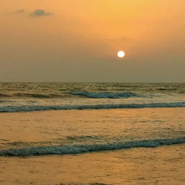 Ivy Morjim - AM Kollection - zdjęcie 5