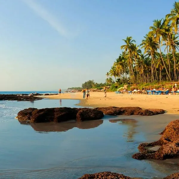 Ivy Morjim - AM Kollection - zdjęcie 4