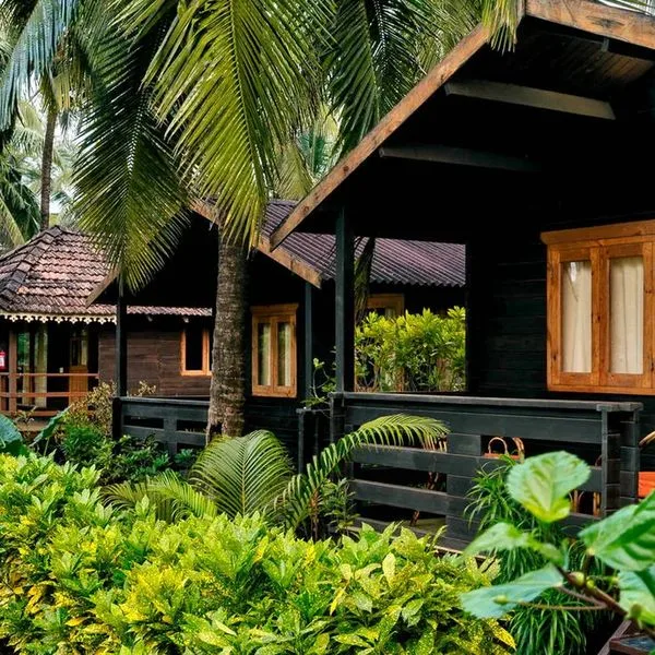 Ivy Morjim - AM Kollection - zdjęcie 2