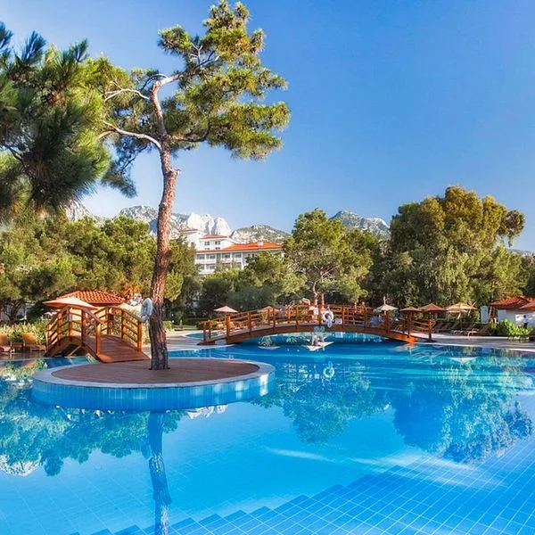 Akka Antedon - zdjęcie 2