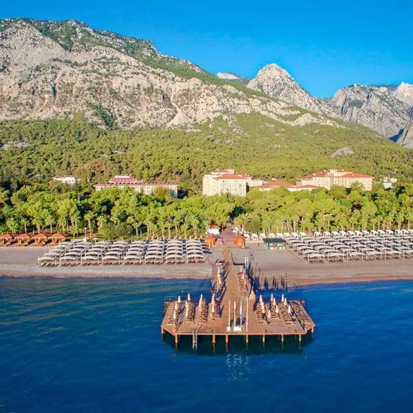 Akka Antedon - zdjęcie 3