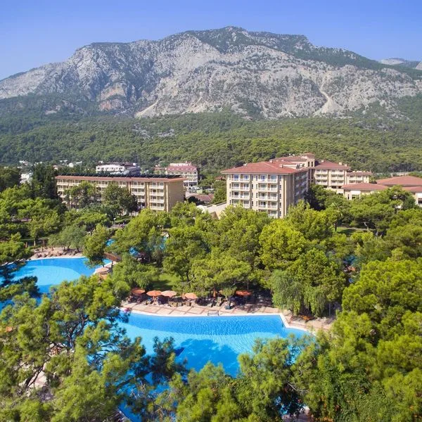 Akka Antedon - zdjęcie 5