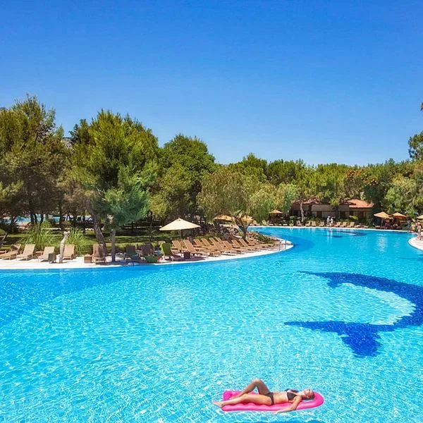 Akka Antedon - zdjęcie 4