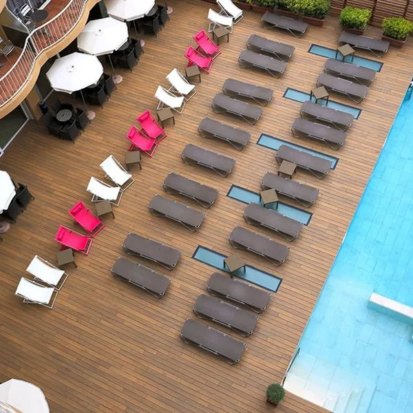 Kaktus Volga (Calella) - zdjęcie 4