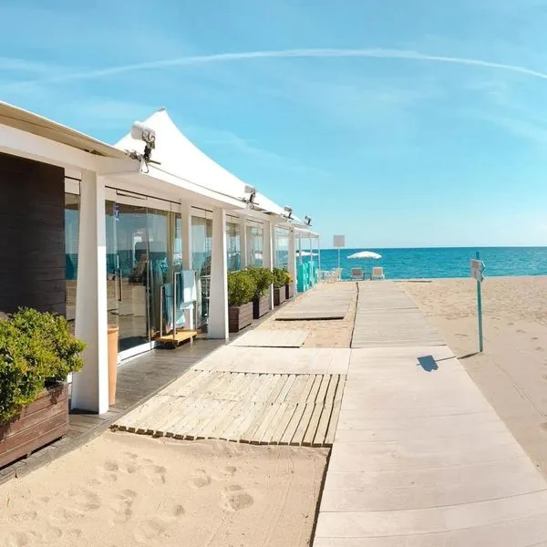 Kaktus Volga (Calella) - zdjęcie 5