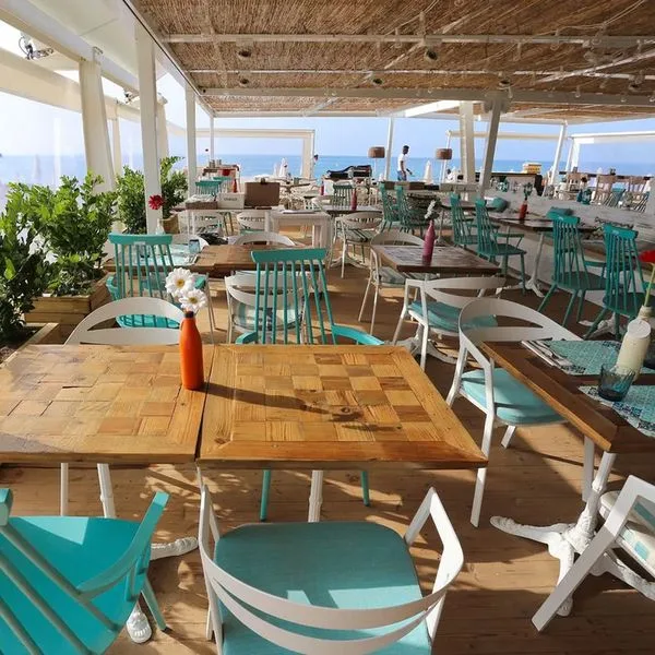 Kaktus Volga (Calella) - zdjęcie 2