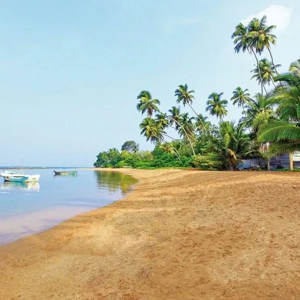 Cinnamon Bey - zdjęcie 5