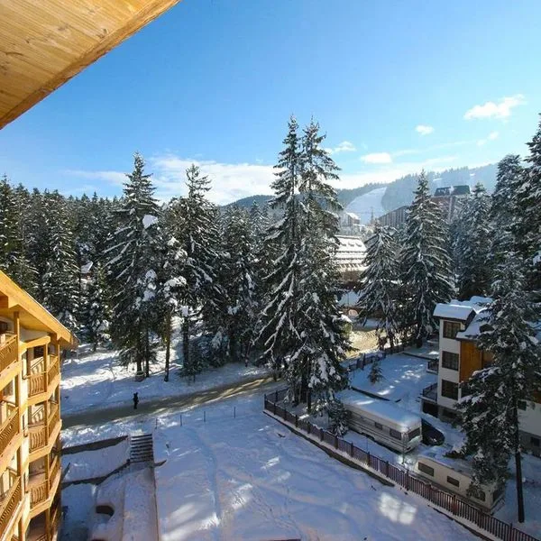 Iceberg (Borowiec) - zdjęcie 4