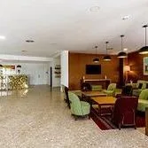 Vilamoura Garden - zdjęcie 5