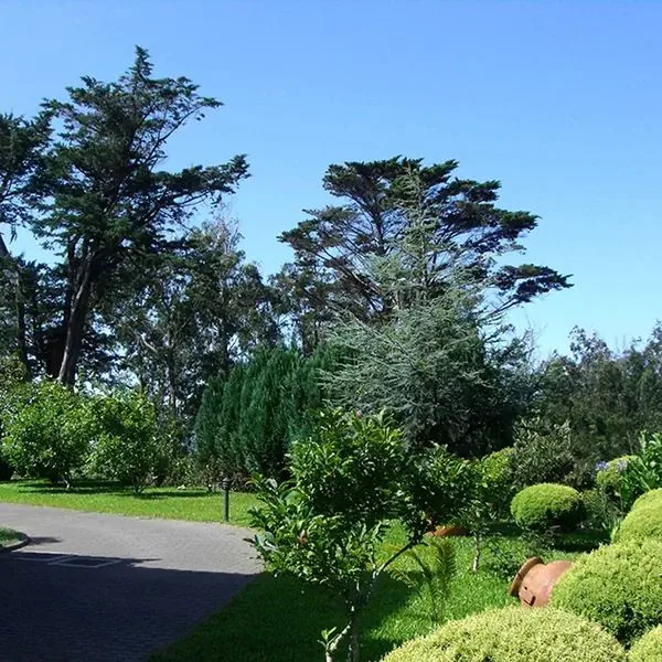 Quinta da Cova do Milho - zdjęcie 3