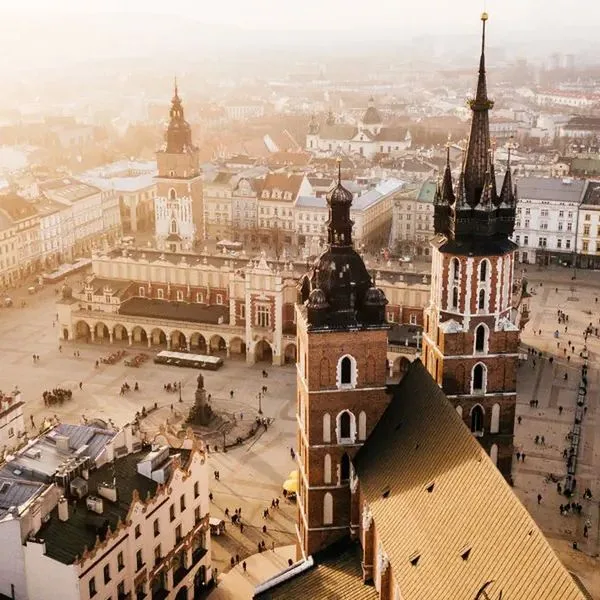 Avena by Artery - zdjęcie 2