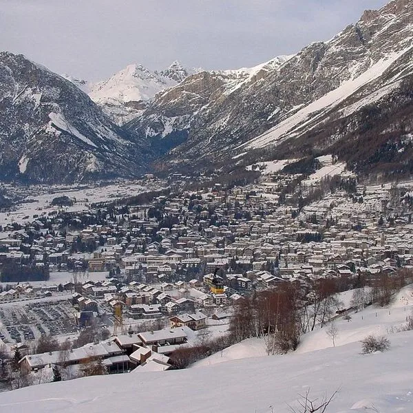 Ginepro - zdjęcie 3