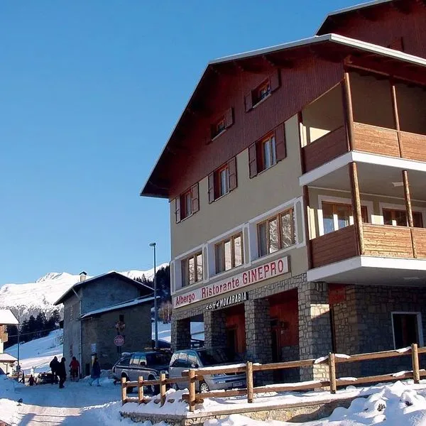 Ginepro - zdjęcie 4