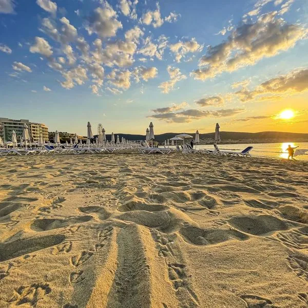 Flamingo Beach (ex. Avliga Beach) - zdjęcie 5