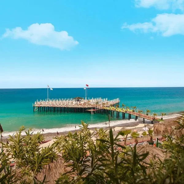 Delphin Botanik Platinum - zdjęcie 3