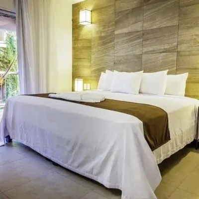 Tukan Playa del Carmen - zdjęcie 3