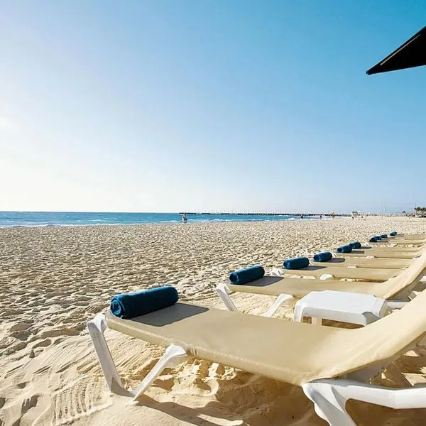 Tukan Playa del Carmen - zdjęcie 4