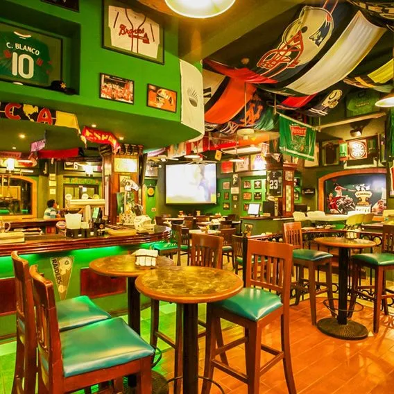 Tukan Playa del Carmen - zdjęcie 2