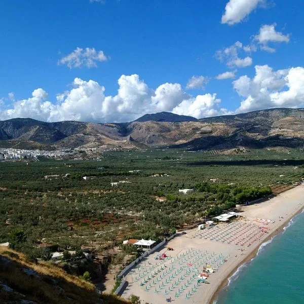 Il Porto - zdjęcie 3