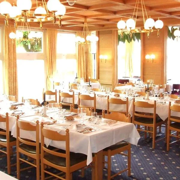 Bellevue Wengen - zdjęcie 3