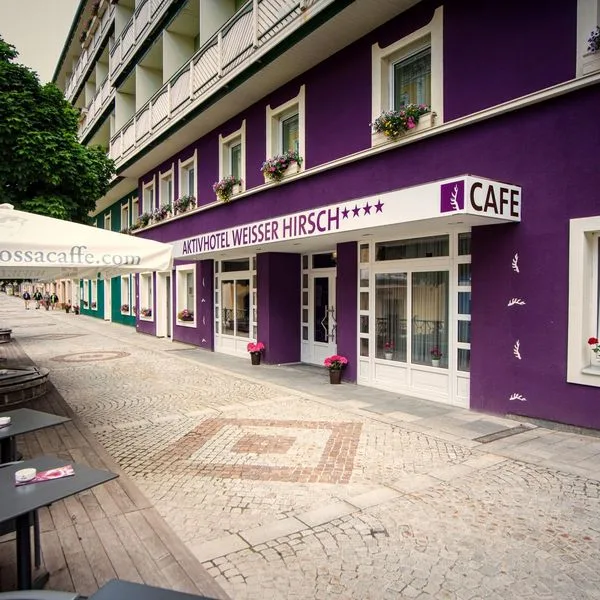 Aktiv Weisser Hirsch (Weisser Hirsch) - zdjęcie 2