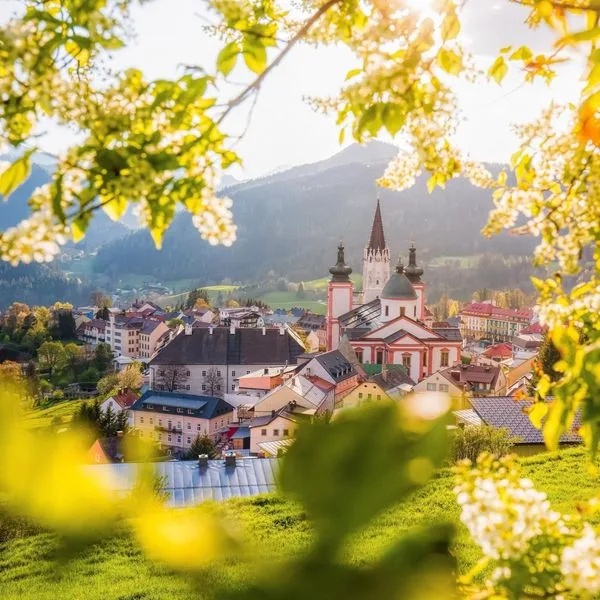 Aktiv Weisser Hirsch (Weisser Hirsch) - zdjęcie 4