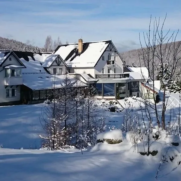 Hotel Chojnik