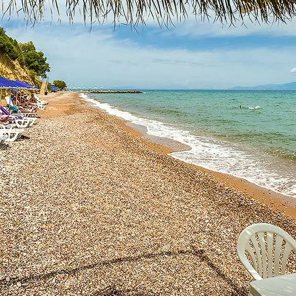 Pavlina (Kato Achaia) - zdjęcie 5